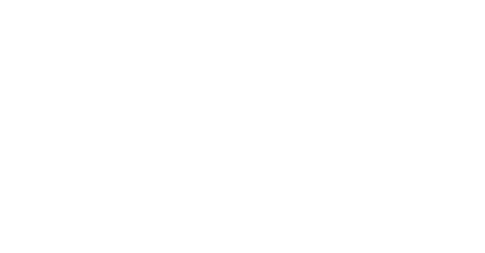 Dutch Harness Horses to be featured in Valkenswaard - DVI - Driving  Valkenswaard International